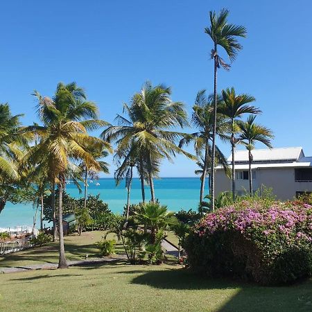 Grand Studio De 41 M², Vue Mer Et Jardin Tropical. Le Gosier  Ngoại thất bức ảnh
